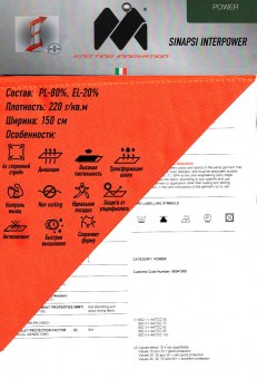 SINAPSI INTERPOWER (1)